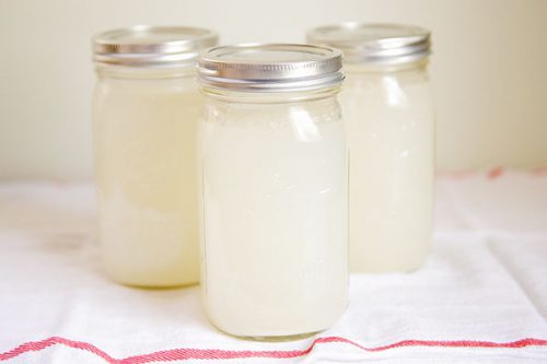 Kefir de água de coco