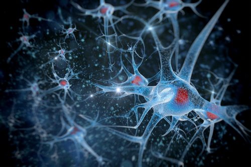 O sal marinho otimiza as funções cerebrais