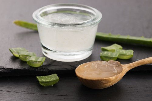 Aloe vera e suco de limão para tratar o cabelo