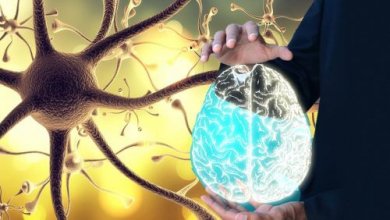 Como "despertar" o nervo vago para desfrutar de um bem-estar integral