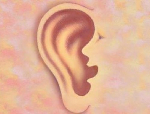 O que as suas orelhas dizem sobre você O que as suas orelhas dizem sobre você