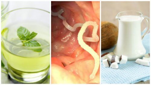 Combata parasitas intestinais com estes 5 tratamentos caseiros