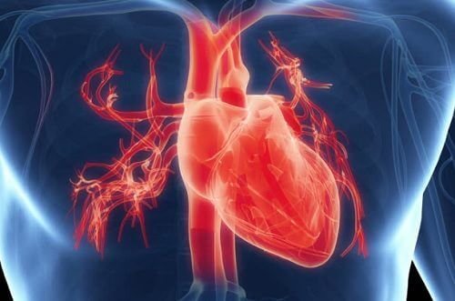 7 sinais de que seu coração não está trabalhando como deveria