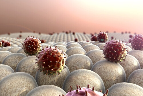 Não dormir o suficiente pode deixar o sistema imunológico enfraquecido