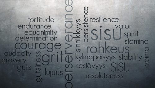 Sisu