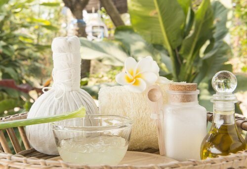 Aloe vera e óleo de coco para cuidar do cabelo