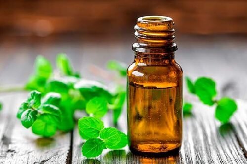 Óleo de menta para relaxar os músculos