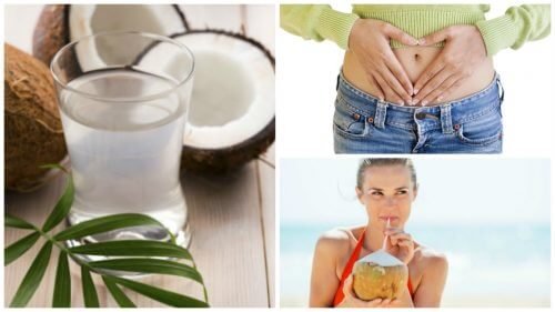 10 benefícios de consumir água de coco regularmente