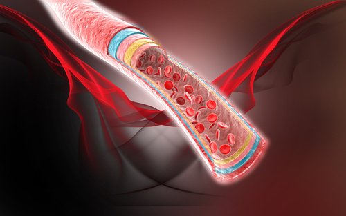 Água de coco para melhorar a circulação