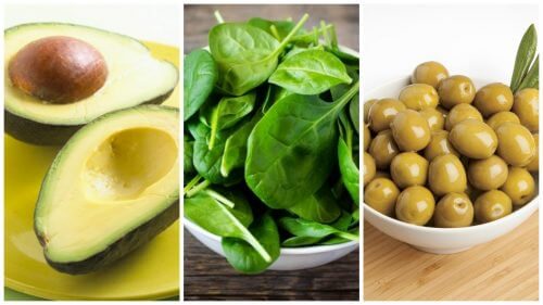 Aumente seu consumo de vitamina E incluindo estes alimentos na dieta Aumente seu consumo de vitamina E incluindo estes alimentos na dieta