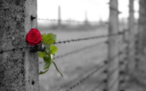 A diferença entre o amor e a obsessão