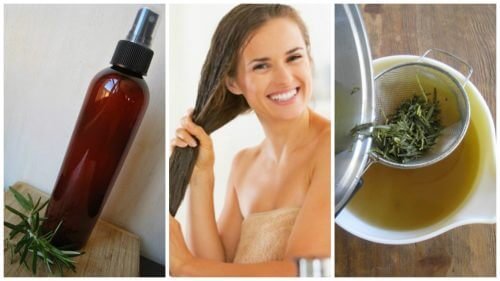 Como preparar um condicionador de ervas e vinagre para fortalecer o cabelo