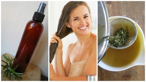 Como preparar um condicionador de ervas e vinagre para fortalecer o cabelo Como preparar um condicionador de ervas e vinagre para fortalecer o cabelo