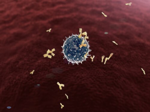 Funcionamento correto daas células graças à respiração profunda