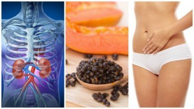 6 benefícios das sementes de mamão