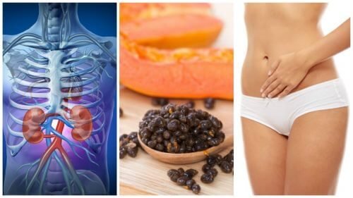 6 benefícios das sementes de mamão