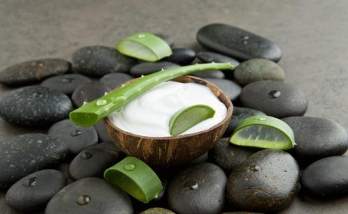 aloe vera e leite de coco