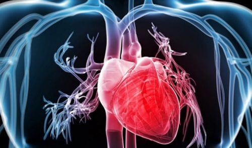 Saúde cardiovascular