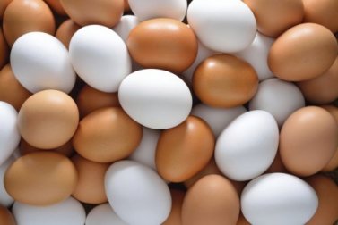 Sintomas de que você tem uma deficiência de vitamina B12