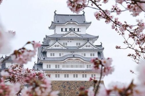 sabedoria-japonesa