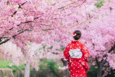 Sabedoria japonesa para sermos mais felizes no dia a dia