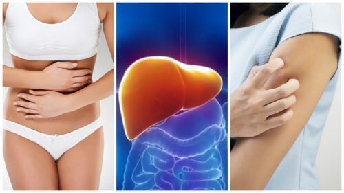 8 sintomas que surgem quando seu fígado está sobrecarregado de toxinas