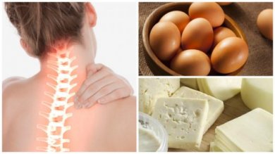 Fortaleça sua saúde óssea consumindo estes 8 alimentos ricos em cálcio