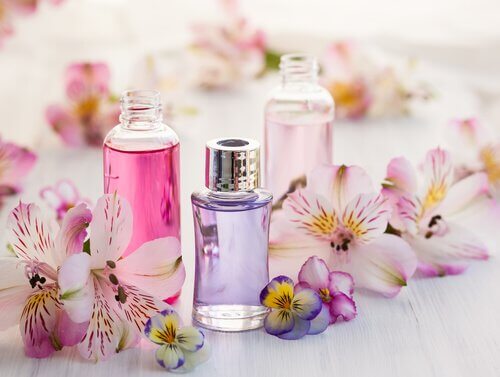 Perfumes para embelezar