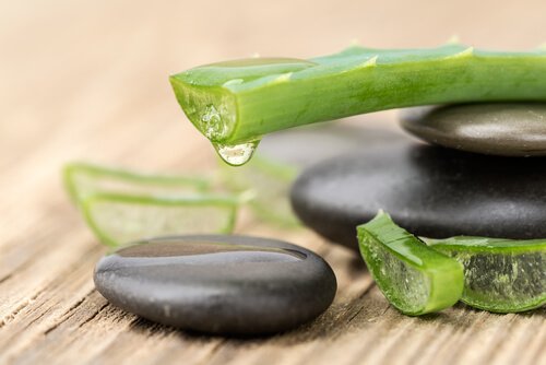 Aloe vera e limão para ter uma pele macia