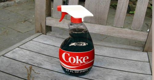 A Coca-Cola pode ser utilizada como pesticida para o jardim