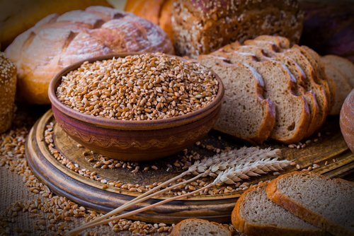 Segundo nível da nova pirâmide nutricional