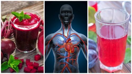 Melhore a circulação sanguínea consumindo estas 5 bebidas naturais Melhore a circulação sanguínea consumindo estas 5 bebidas naturais