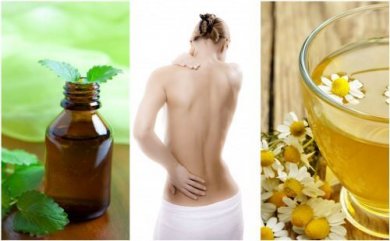 7 relaxantes musculares naturais