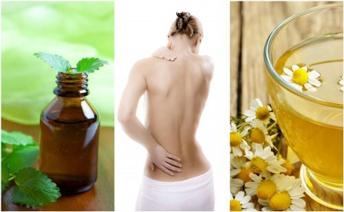 7 relaxantes musculares naturais 7 relaxantes musculares naturais