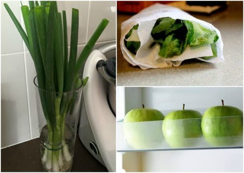 9 truques para manter seus alimentos frescos por mais tempo 9 truques para manter seus alimentos frescos por mais tempo