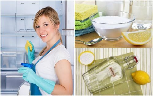 Como limpar e desinfetar a geladeira usando 5 soluções caseiras