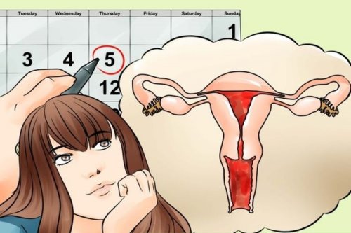 Mulher calculando a data da menstruação