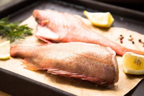 Tipode de peixe: Sebaste