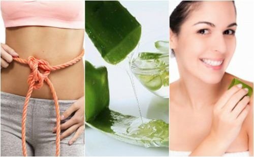 9 benefícios medicinais que você pode obter graças ao gel da aloe vera