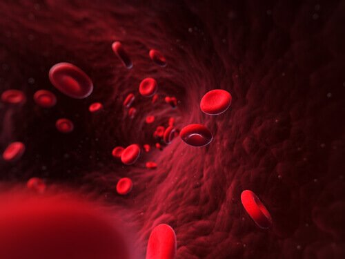 Células nadando no sangue