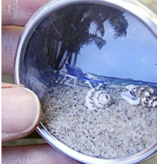 Fotografia de caramujos