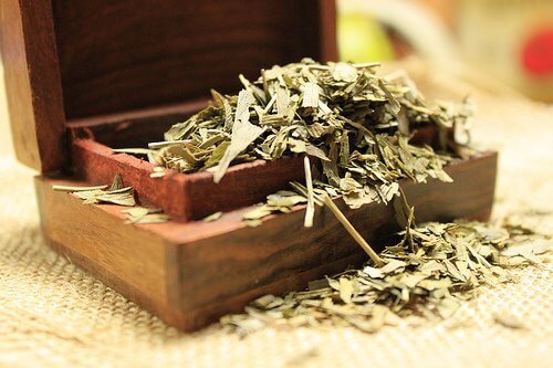 Ginkgo biloba para prevenir as câimbras musculares