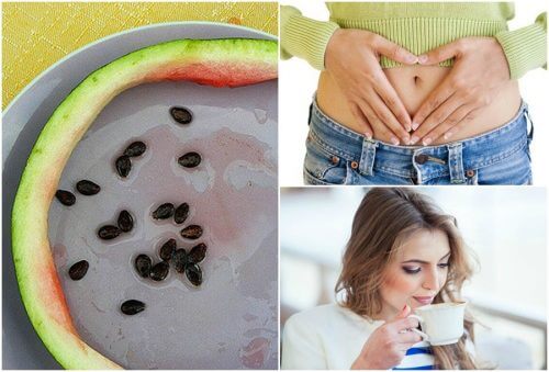Prepare uma infusão de sementes de melancia e obtenha estes 8 benefícios Prepare uma infusão de sementes de melancia e obtenha estes 8 benefícios