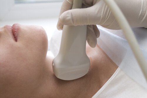 Como melhorar os problemas de tireoide cuidando do intestino