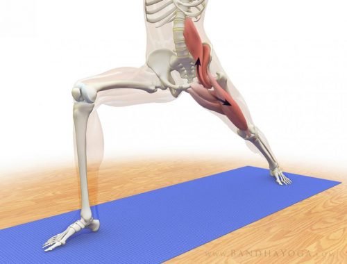 Alongamentos para o psoas maior