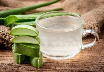 6 remédios caseiros fabulosos à base de aloe vera (babosa)