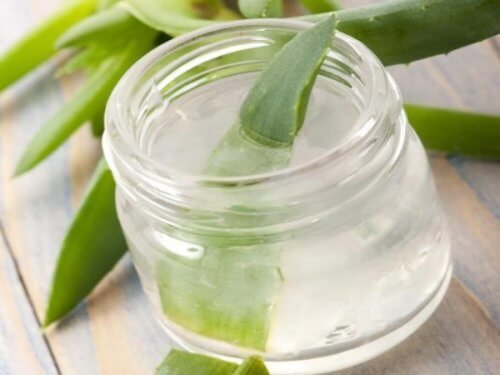 Gel de aloe vera contra gastrite