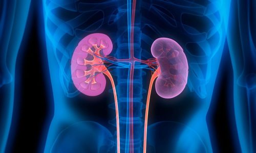 Saúde renal
