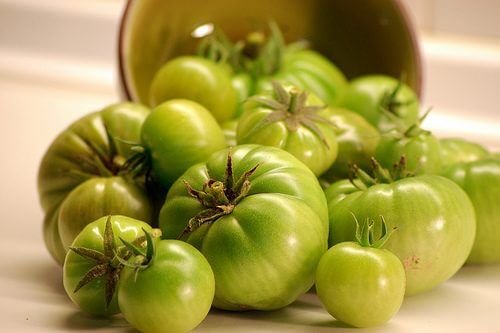 Tomate verde para tratar as varizes