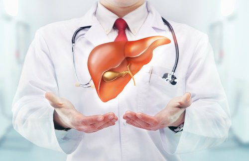 Médico mostrando fígado com insuficiência hepática